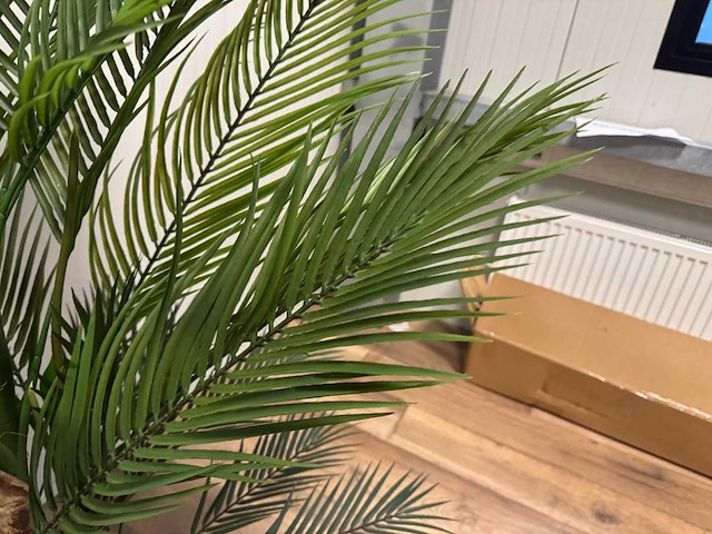 Palm tree kunstplant (165cm hoog) - afbeelding 16 van  17