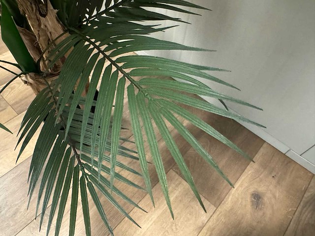 Palm tree kunstplant (165cm hoog) - afbeelding 13 van  17