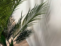 Palm tree kunstplant (165cm hoog) - afbeelding 6 van  17