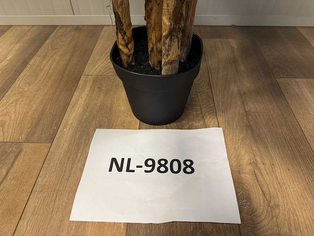 Palm tree kunstplant (165cm hoog) - afbeelding 9 van  17