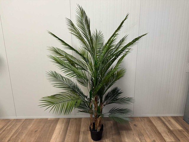 Palm tree kunstplant (165cm hoog) - afbeelding 1 van  17
