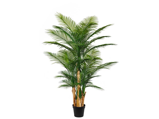 Palm tree kunstplant (165cm hoog) - afbeelding 10 van  17