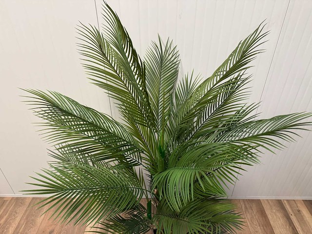 Palm tree kunstplant (165cm hoog) - afbeelding 1 van  10