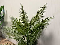 Palm tree kunstplant (165cm hoog) - afbeelding 2 van  10