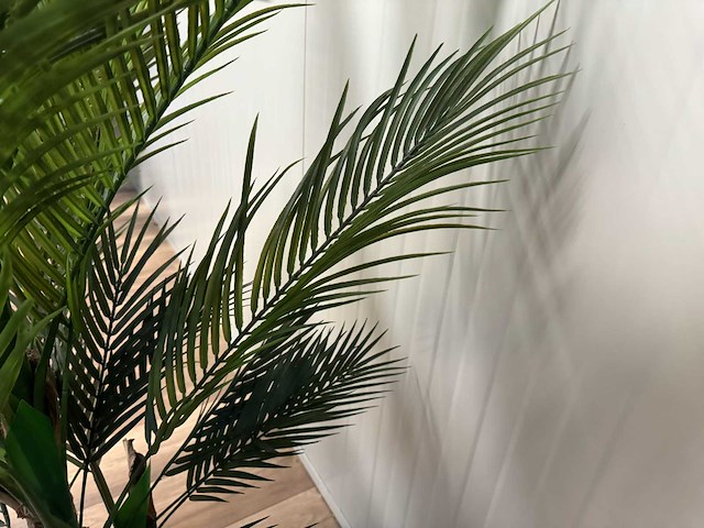 Palm tree kunstplant (165cm hoog) - afbeelding 3 van  10