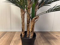 Palm tree kunstplant (165cm hoog) - afbeelding 9 van  10