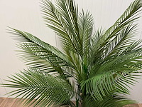 Palm tree kunstplant (165cm hoog) - afbeelding 10 van  10