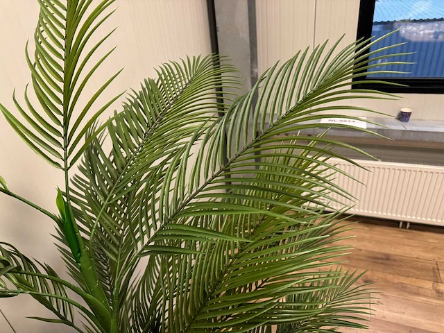 Palm tree kunstplant (210cm hoog) - afbeelding 3 van  16