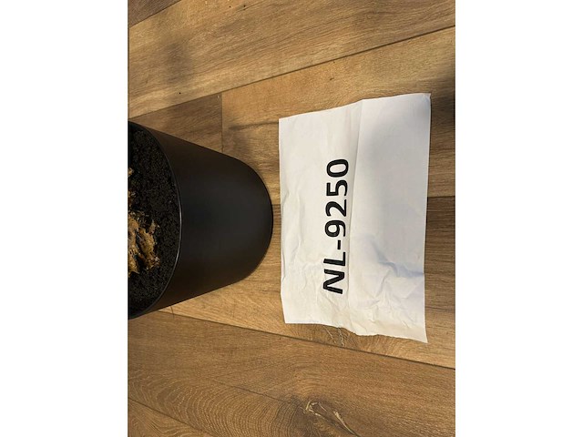 Palm tree kunstplant (210cm hoog) - afbeelding 13 van  14