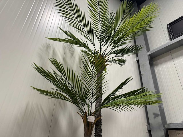 Palm tree kunstplant (210cm hoog) - afbeelding 13 van  14