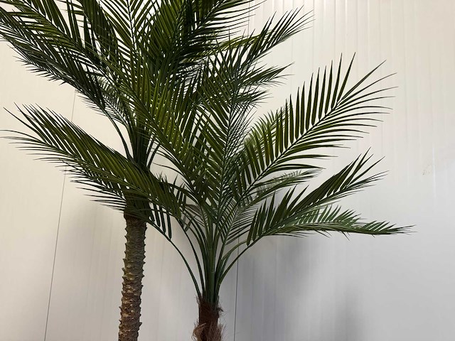 Palm tree kunstplant (210cm hoog) - afbeelding 13 van  14