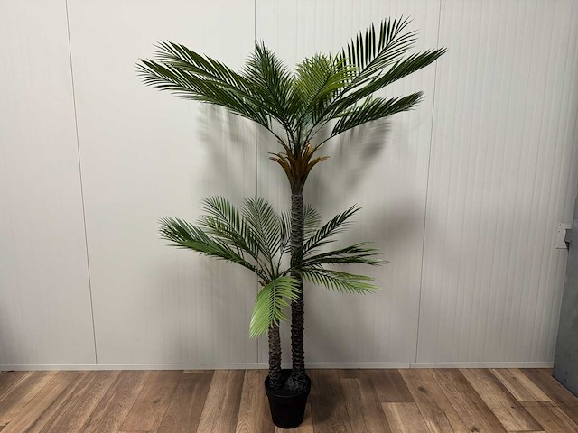 Palm tree kunstplant (210cm hoog) - afbeelding 1 van  4