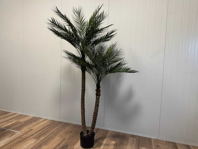 Palm tree kunstplant (210cm hoog) - afbeelding 4 van  14