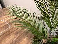Palm tree kunstplant (210cm hoog) - afbeelding 9 van  16