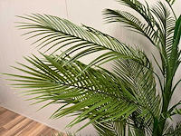 Palm tree kunstplant (210cm hoog) - afbeelding 10 van  16