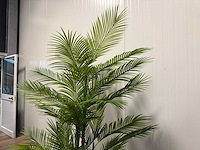 Palm tree kunstplant (210cm hoog) - afbeelding 8 van  16