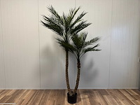 Palm tree kunstplant (210cm hoog) - afbeelding 1 van  11