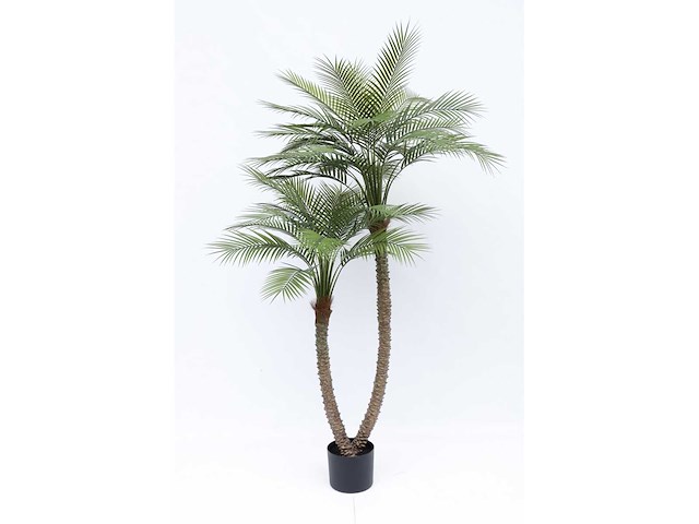 Palm tree kunstplant (210cm hoog) - afbeelding 5 van  11