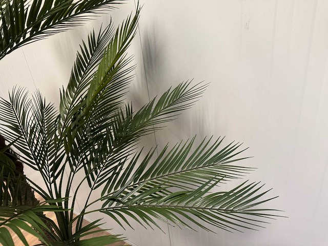 Palm tree kunstplant (210cm hoog) - afbeelding 11 van  11