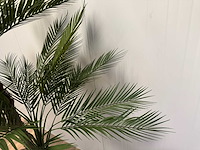 Palm tree kunstplant (210cm hoog) - afbeelding 11 van  11