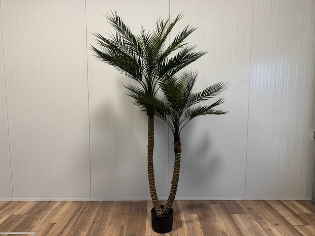 Palm tree kunstplant (210cm hoog) - afbeelding 1 van  3