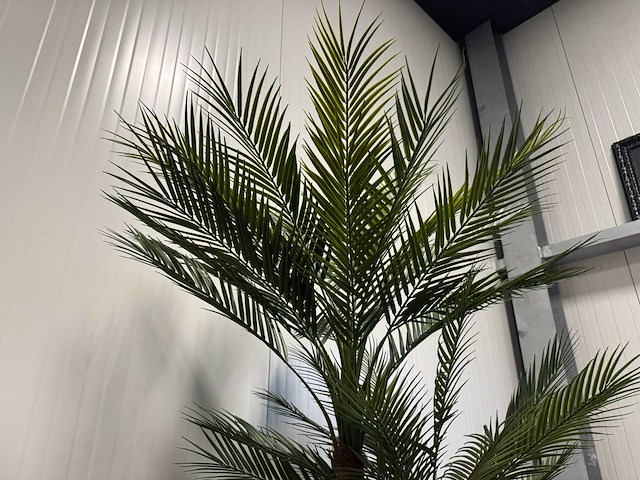 Palm tree kunstplant (210cm hoog) - afbeelding 3 van  3