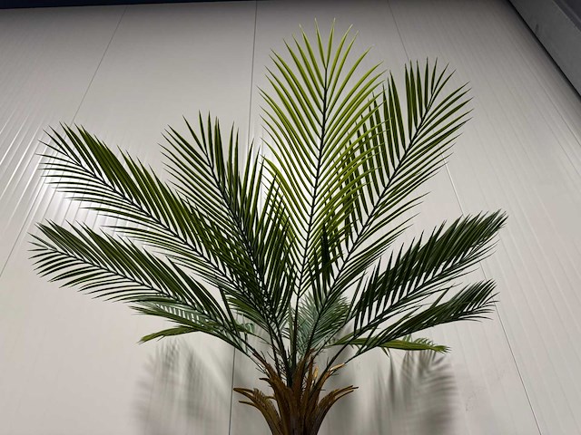Palm tree kunstplant (210cm hoog) - afbeelding 11 van  12