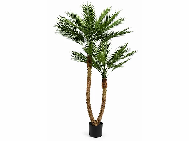 Palm tree kunstplant (210cm hoog) - afbeelding 1 van  4
