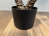 Palm tree kunstplant (210cm hoog) - afbeelding 4 van  4