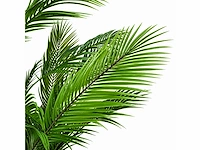 Palm tree kunstplant (210cm hoog) - afbeelding 3 van  4
