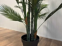 Palm tree kunstplant (210cm hoog) - afbeelding 4 van  4