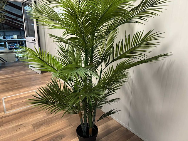 Palm tree kunstplant (210cm hoog) - afbeelding 16 van  16