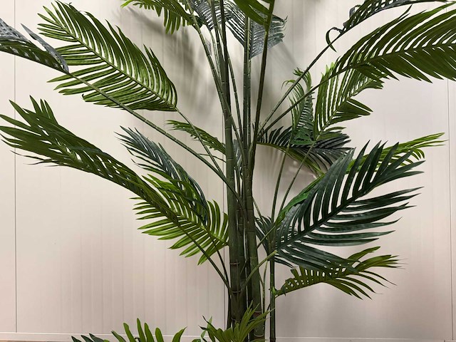 Palm tree kunstplant (225cm hoog) - afbeelding 13 van  15