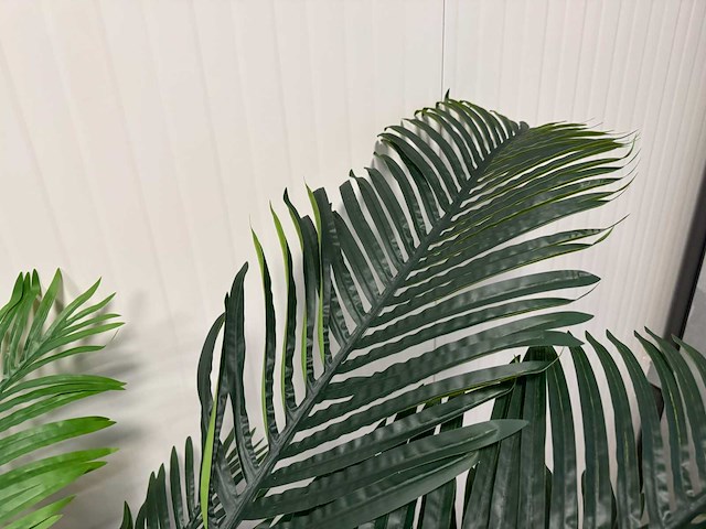 Palm tree kunstplant (240cm hoog) - afbeelding 3 van  13