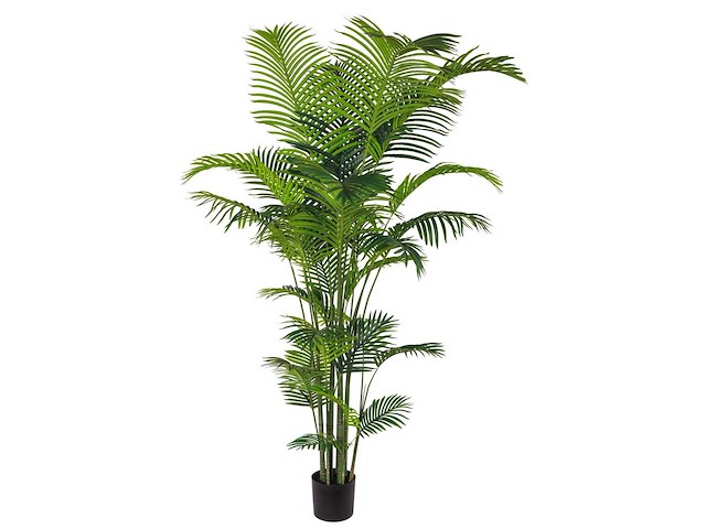 Palm tree kunstplant (240cm hoog) - afbeelding 6 van  13