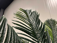Palm tree kunstplant (260cm hoog) - afbeelding 10 van  14