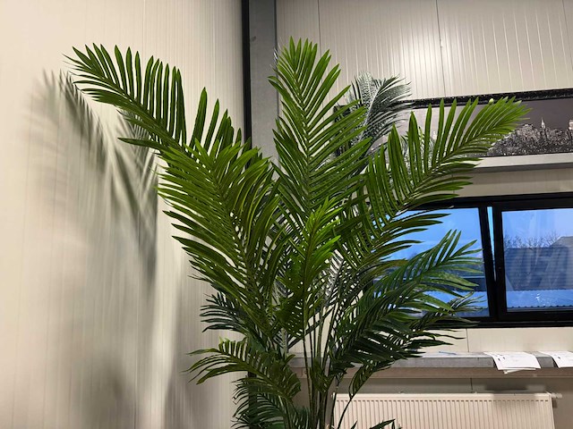 Palm tree kunstplant (260cm hoog) - afbeelding 4 van  14