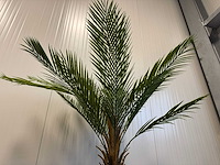 Palm tree kunstplant (2x) (150cm hoog) - afbeelding 11 van  13