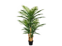 Palm tree kunstplant (2x) (165cm hoog) - afbeelding 10 van  17