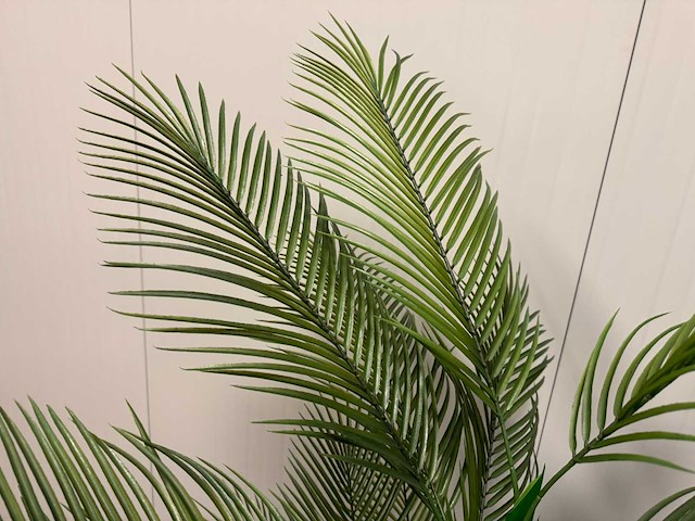 Palm tree kunstplant (2x) (210cm hoog) - afbeelding 2 van  16