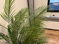 Palm tree kunstplant (2x) (210cm hoog) - afbeelding 3 van  16
