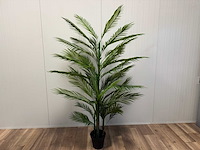 Palm tree kunstplant (2x) (210cm hoog) - afbeelding 1 van  16