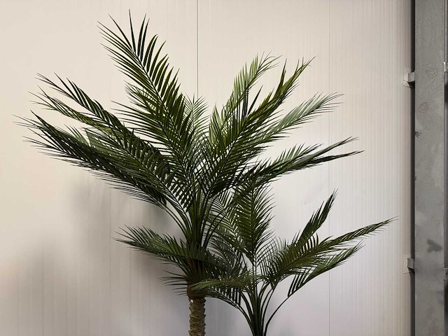 Palm tree kunstplant (2x) (210cm hoog) - afbeelding 2 van  14