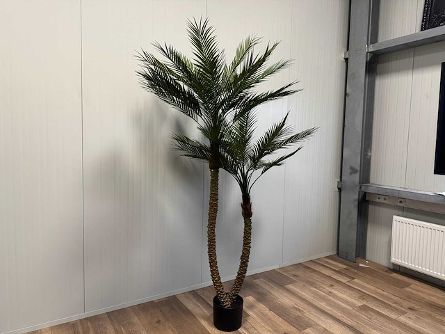 Palm tree kunstplant (2x) (210cm hoog) - afbeelding 8 van  14