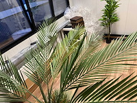 Palm tree kunstplant (2x) (210cm hoog) - afbeelding 12 van  14