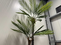 Palm tree kunstplant (2x) (210cm hoog) - afbeelding 13 van  14