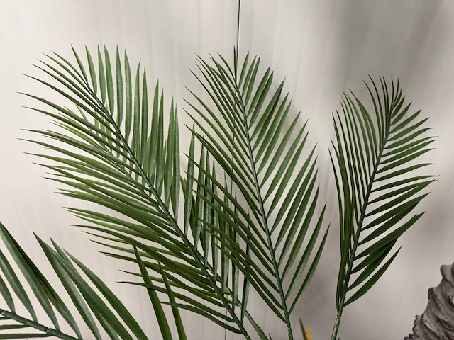 Palm tree kunstplant (2x) (210cm hoog) - afbeelding 3 van  8