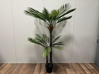 Palm tree kunstplant (2x) (210cm hoog) - afbeelding 1 van  8