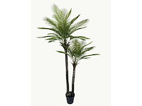 Palm tree kunstplant (2x) (210cm hoog) - afbeelding 6 van  8