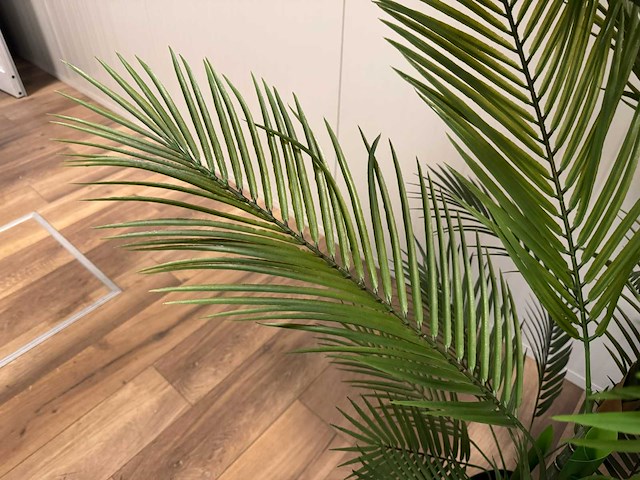 Palm tree kunstplant (2x) (210cm hoog) - afbeelding 5 van  16